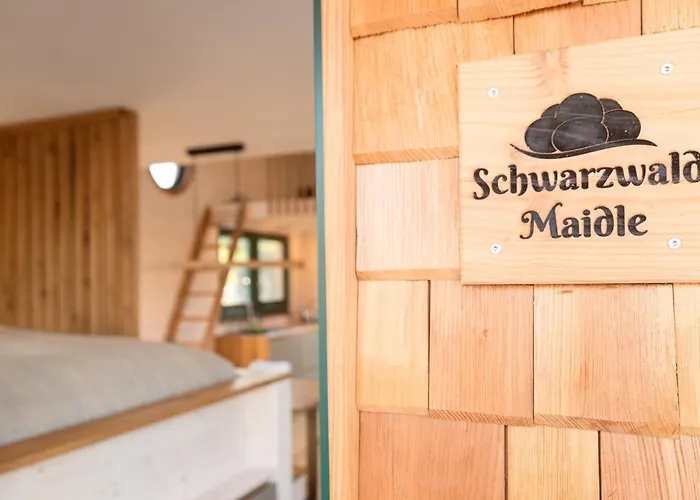 Uriges Tiny Hausboot Mit Kamin Im Winter Auf Der Dove Elbe Botel *