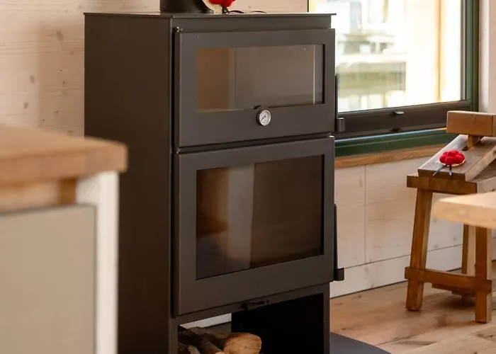 Uriges Tiny Hausboot Mit Kamin Im Winter Auf Der Dove Elbe Hamburgo